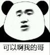 soogif soogif出品 可以啊我的哥