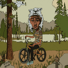 自行车 树林 飞机 帽子