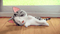 动漫 猫咪 困了