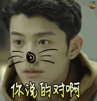 春风十里不如你 电视剧 你说的对啊 soogif soogif出品