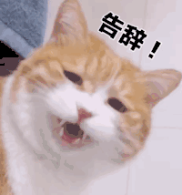 萌宠 猫星人 告辞 再见 呆萌 可爱