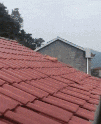 搞笑 逗比 神操作 厉害