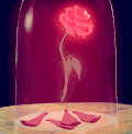 唯美 玫瑰 美丽 鲜花