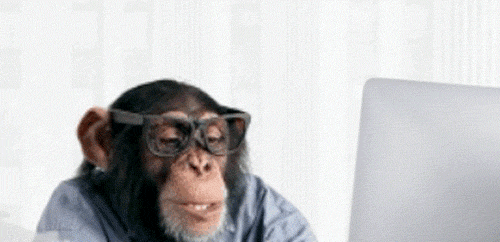 猴子 打字 电脑 猩猩