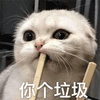 猫 筷子 辣鸡 垃圾 搞怪 可爱
