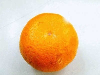 橙子 剪辑 食物 水果