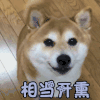 开心 happy