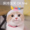 萌宠 猫星人 保持微笑 开心 呆萌 可爱