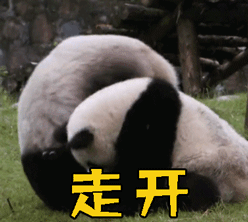 走开 熊猫 拒绝
