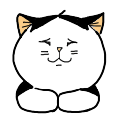 彩蛋mimi2gif动态图片,猫可爱点头动图表情包下载