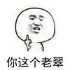 金馆长 骂人 手势 你这个老翠