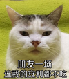朋友一场,连我的安利都不吃   喵星人   冷酷   萌萌哒   瞪你