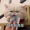 萌宠 猫星人 好吃到流泪 开心 呆萌 可爱