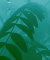 植物 插画 下雨 微风 plants nature