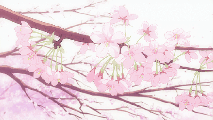 樱花树 美景 动漫 漂亮