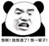 暴漫 文字表情包 恨啊我恨透了恨一辈子 搞笑 沙雕 魔性