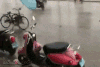 囧 自行车 雨伞 下雨
