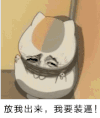 夏目友人帐 金馆长 猫猫 逗比