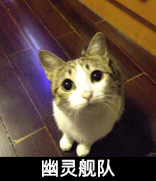 猫咪 可爱 跳跃 幽灵舰队