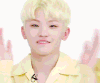 woozi 帅哥 迷人 阳光 帅气