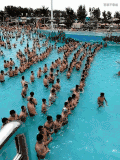 海浪 人群 冲浪 搞笑