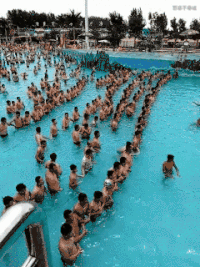 海浪 人群 冲浪 搞笑