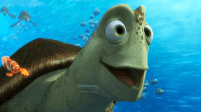 大海 乌龟 开心