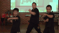 武术 表演 帅气十足 投影仪