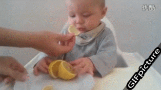 宝宝 可爱 呆萌 搞笑 吃 柠檬 酸