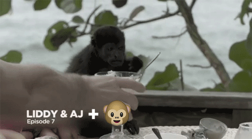 约会 冰激凌 现实电视 猴子 日期 表情符号 在线约会 黑猩猩 猴子表情 现实电视 小猴子 约会的裸体 交友裸VH1