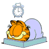 加菲猫 可爱 胖猫