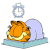 加菲猫 可爱 胖猫