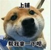 萌宠 舍友日常 搞笑 文字表情包 可爱