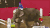 大象 elephant 训练 马戏团