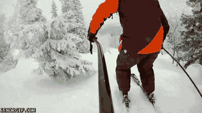 滑雪  镜头 雪林  酷 寒冷 户外运动 雪花 背影  skiing