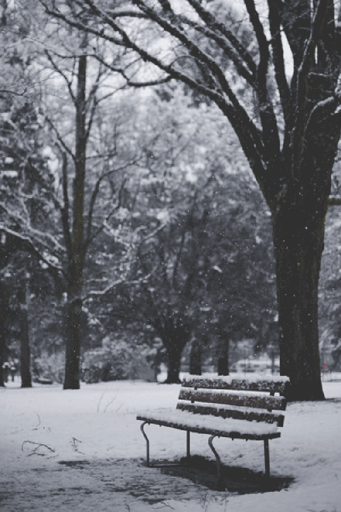 風(fēng)景 漂亮 下雪 公園