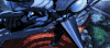 blueking Aking'slegend 动画 二次元