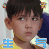 萌宠小大人 生气 泰勒 soogif soogif出品