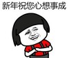 暴漫 文字表情包 新年祝您心想事成 搞笑 沙雕 魔性