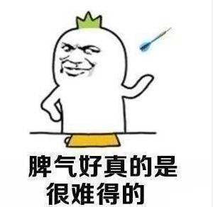 熊猫头 搞笑 蠢萌 长大了才知道 逗