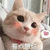有点想你 猫