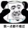 斗图 熊猫头 我一点都不难过 苦笑 强颜欢笑 无奈