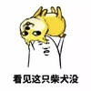 柴犬 搞笑 斗图 猥琐