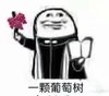 阿门 一颗葡萄树