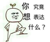 得意 得瑟 装逼 你究竟想表达什么