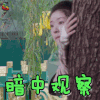 哦我的皇帝陛下 赵露思 洛菲菲 暗中观察 搞怪 soogif soogif出品