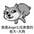 卡通 狗狗 我是doge七兄弟里的 老大大狗