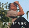 沙雕表情包 沙雕 我谢广坤扣哈脑壳 沙雕