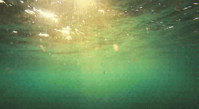 水下 阳光 海水 动态