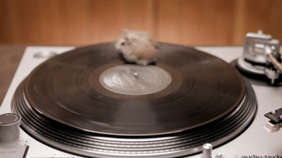 唱片机 老鼠 旋转 可爱
